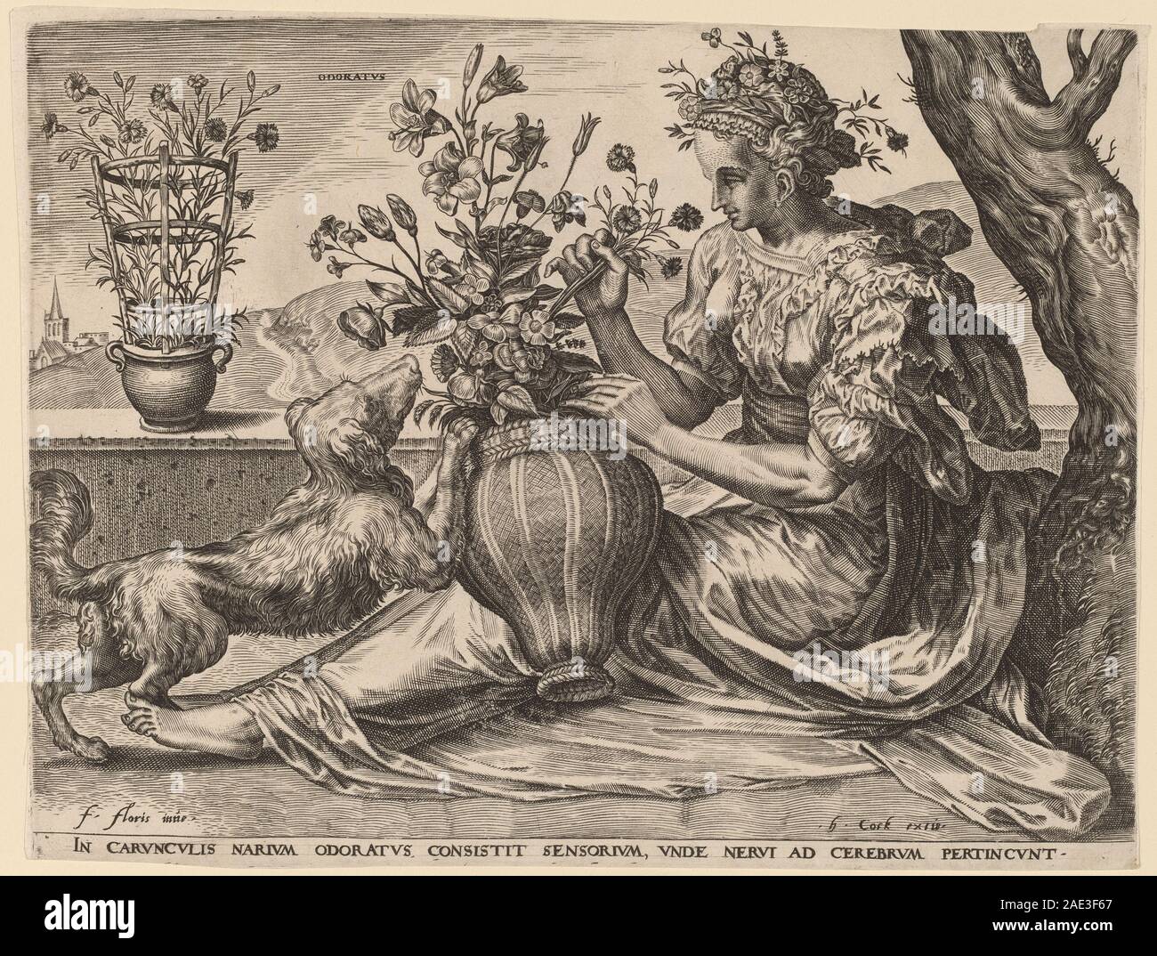 Odoratus ; Cornelis Cort date 1561après Frans Floris, 1561 I, Odoratus Banque D'Images