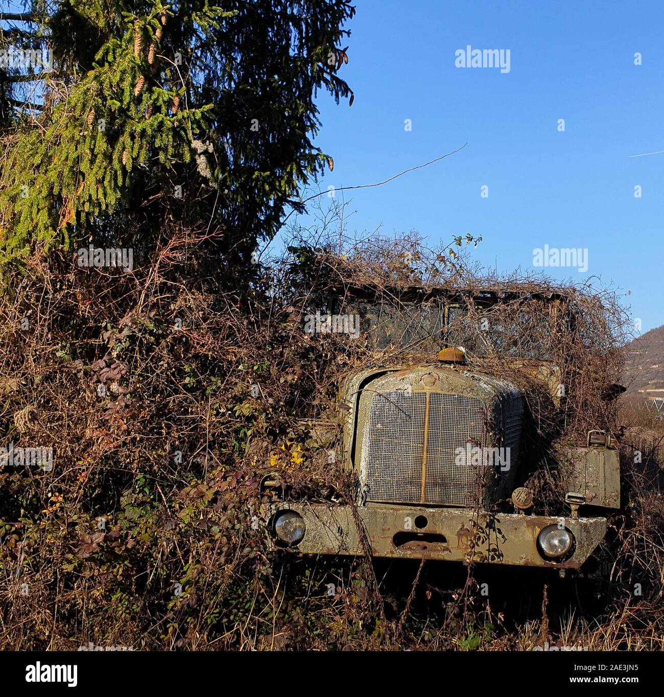 Camion, très vieux, se dresse en bush under blue sky Banque D'Images