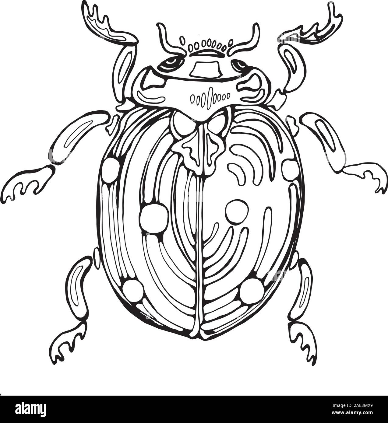 Tatouage Coccinelle Noir Et Blanc Illustration des coccinelles. L'idée pour un tatouage avec une coccinelle  cosmique Image Vectorielle Stock - Alamy