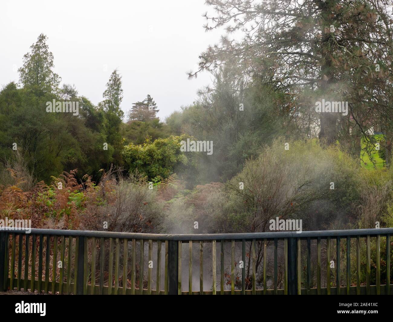 L'activité géothermique Au jardin parfumé de quota à Rotorua Banque D'Images