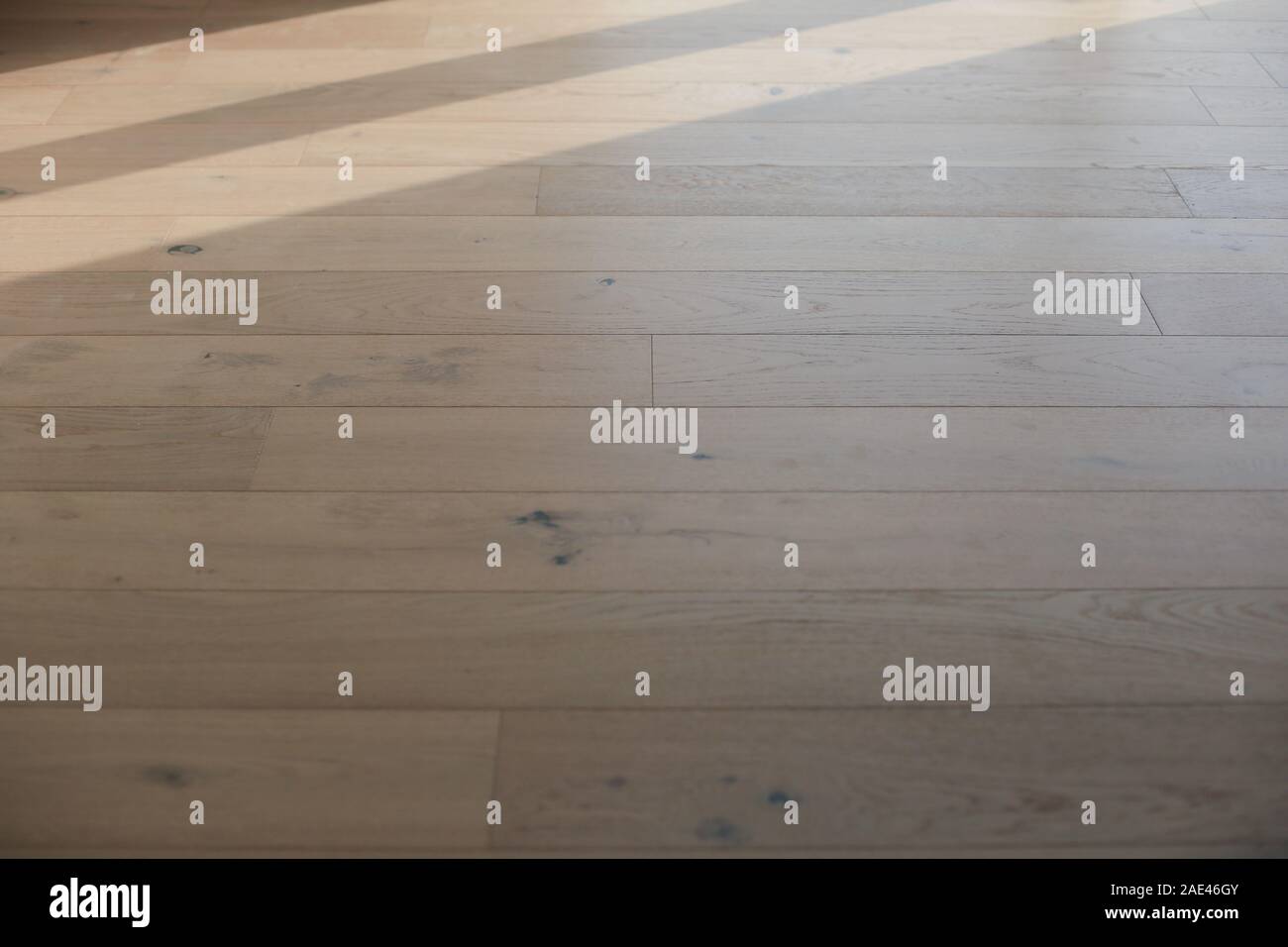 Nouveau stratifié ou parquet Installation en maison d'accueil Banque D'Images