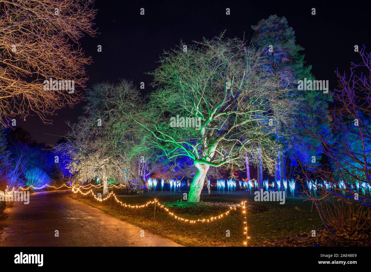 RHS Wisley, Surrey, UK. Hiver 2019 RHS Gardens Glow. 6e décembre 2019. Aperçu de sentier enchanteur avec installations de lumière éblouissante sur le thème des quatre saisons - le printemps le long du Canal de jonquilles Jellicoe perce-neige sur sept acres. Une sélection de Wisley, illuminé d'arbres et une vue spectaculaire sur l'emblématique toute illuminée de laboratoire pendant la période des fêtes du 7 décembre 2019 - 5 janvier 2020. L'événement a vendu des billets à l'avance pour Décembre. Credit : Malcolm Park/Alamy Live News. Banque D'Images