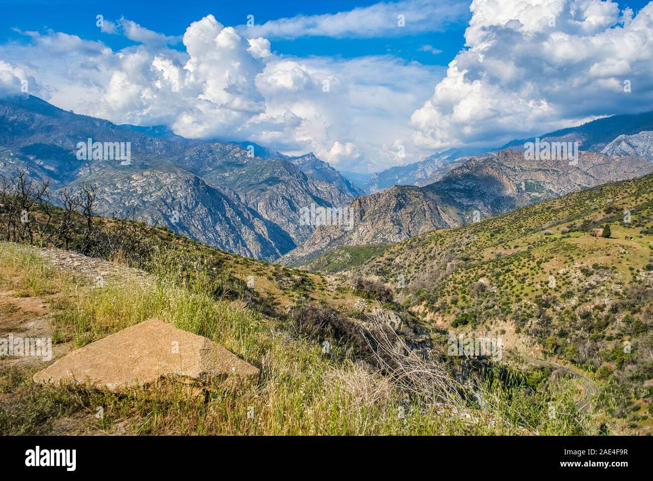 Gros nuages blancs sur les montagnes de la Forêt Nationale de Sequoia en Californie,USA, Banque D'Images