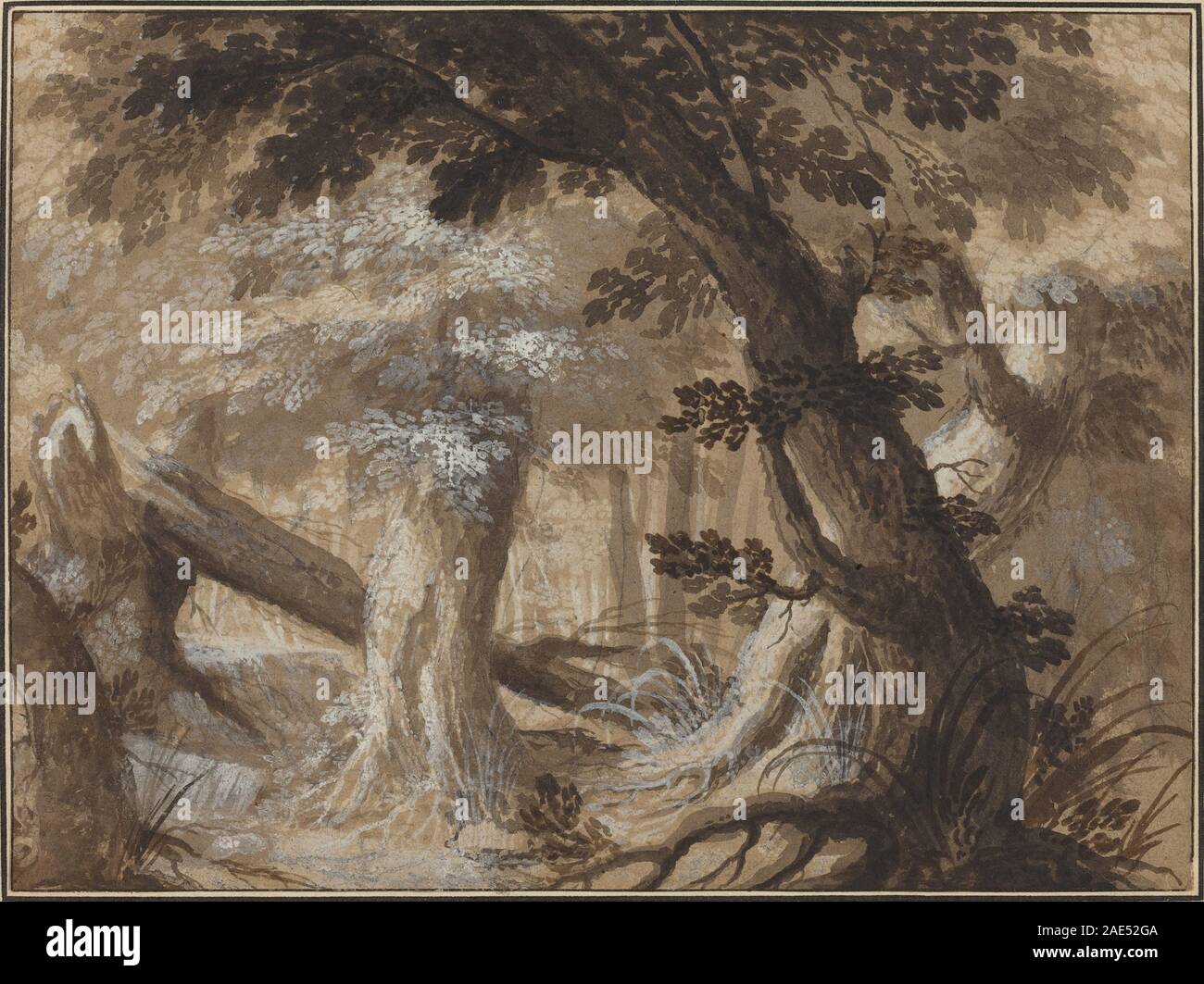 "Forest Interior" créé vers 1610 par un artiste flamand. L'œuvre représente des forêts denses, des arbres, des sous-bois et la lumière filtrant à travers le feuillage, reflétant les techniques flamandes de peinture de paysages du début du XVIIe siècle. Banque D'Images