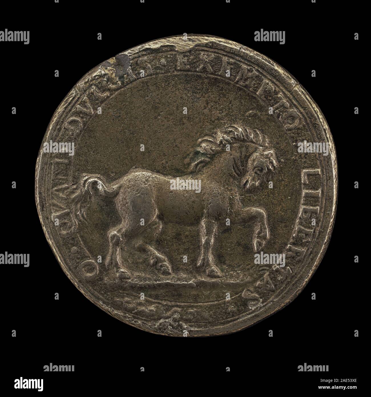 Un dessin datant d'environ 1545, florentin du XVIe siècle, montrant un cheval qui pète la terre, représentant l'anatomie équine, le mouvement, la musculature, et l'étude préparatoire à l'œuvre d'art. Banque D'Images