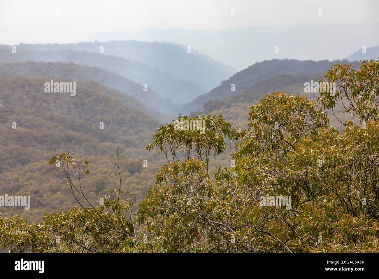La fumée provenant des feux de brousse dans la brume Capertee Valley National Park, New South Wales, Australie Banque D'Images