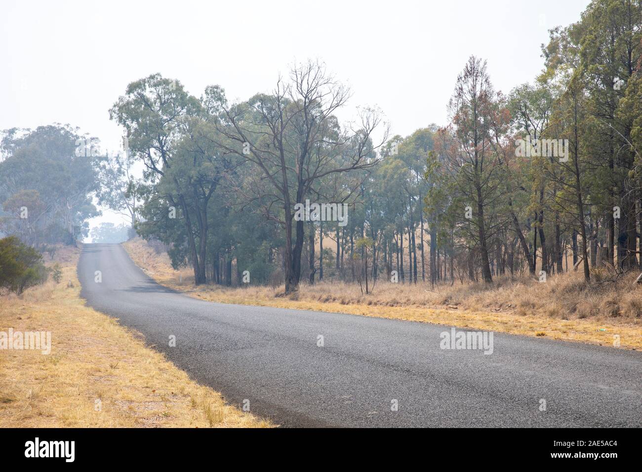 La fumée provenant des feux de brousse et de brume dans l'Capertee Valley, New South Wales, Australie Banque D'Images