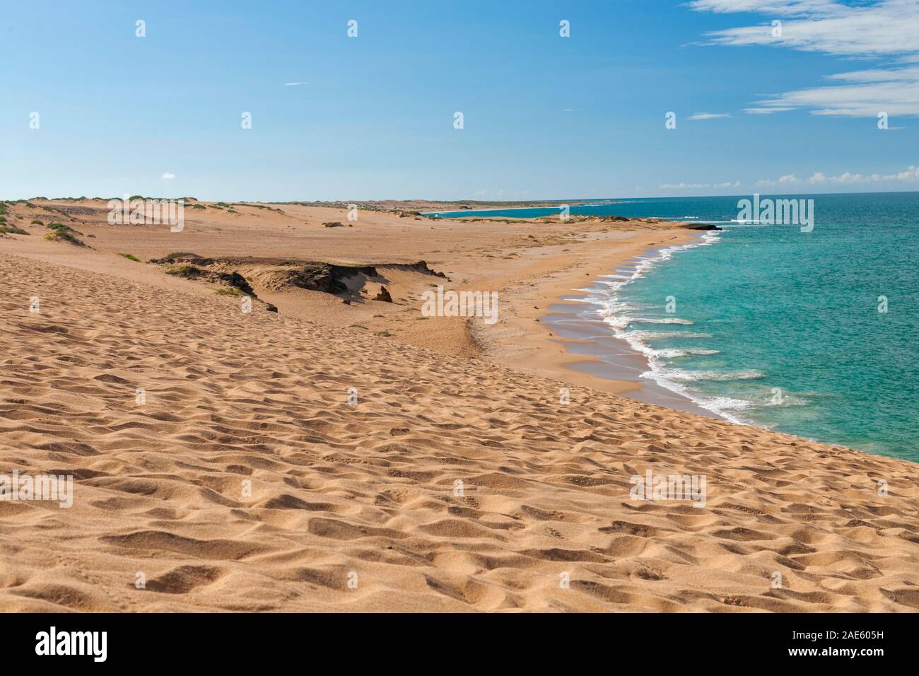 Les dunes côtières de Taroa dans la péninsule Guajira du nord de la Colombie. Banque D'Images