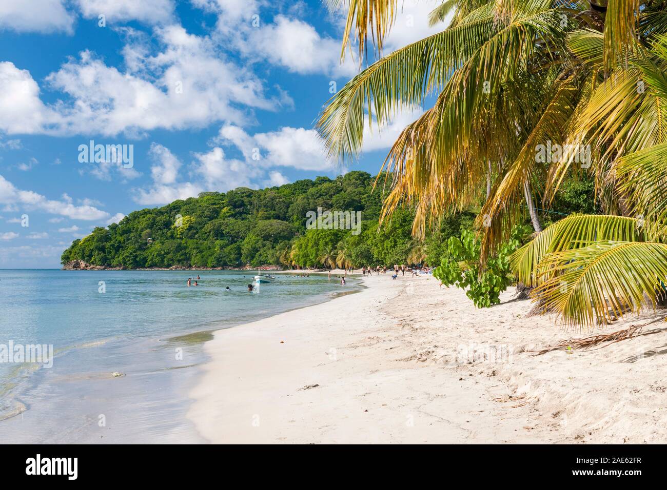 La plage de la baie sud-ouest sur l'île de Providencia, la Colombie. Banque D'Images