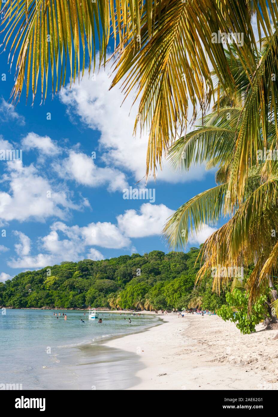 La plage de la baie sud-ouest sur l'île de Providencia, la Colombie. Banque D'Images