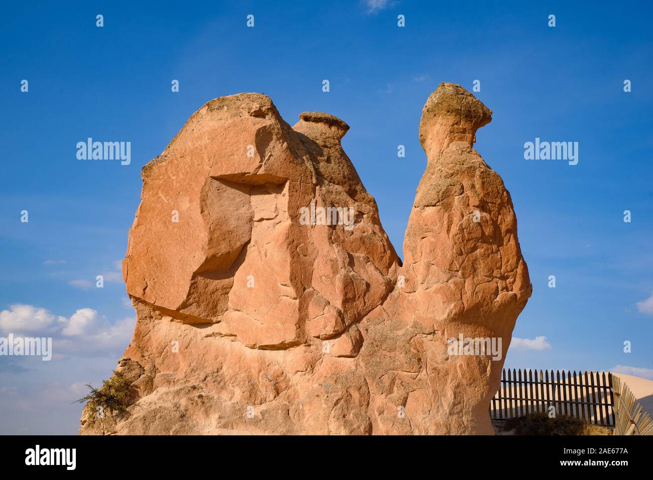 Camel Rock à la vallée de Devrent Vallée imaginaire /, une vallée pleine de formations rocheuses uniques dans la région de Cappadoce, Turquie Banque D'Images