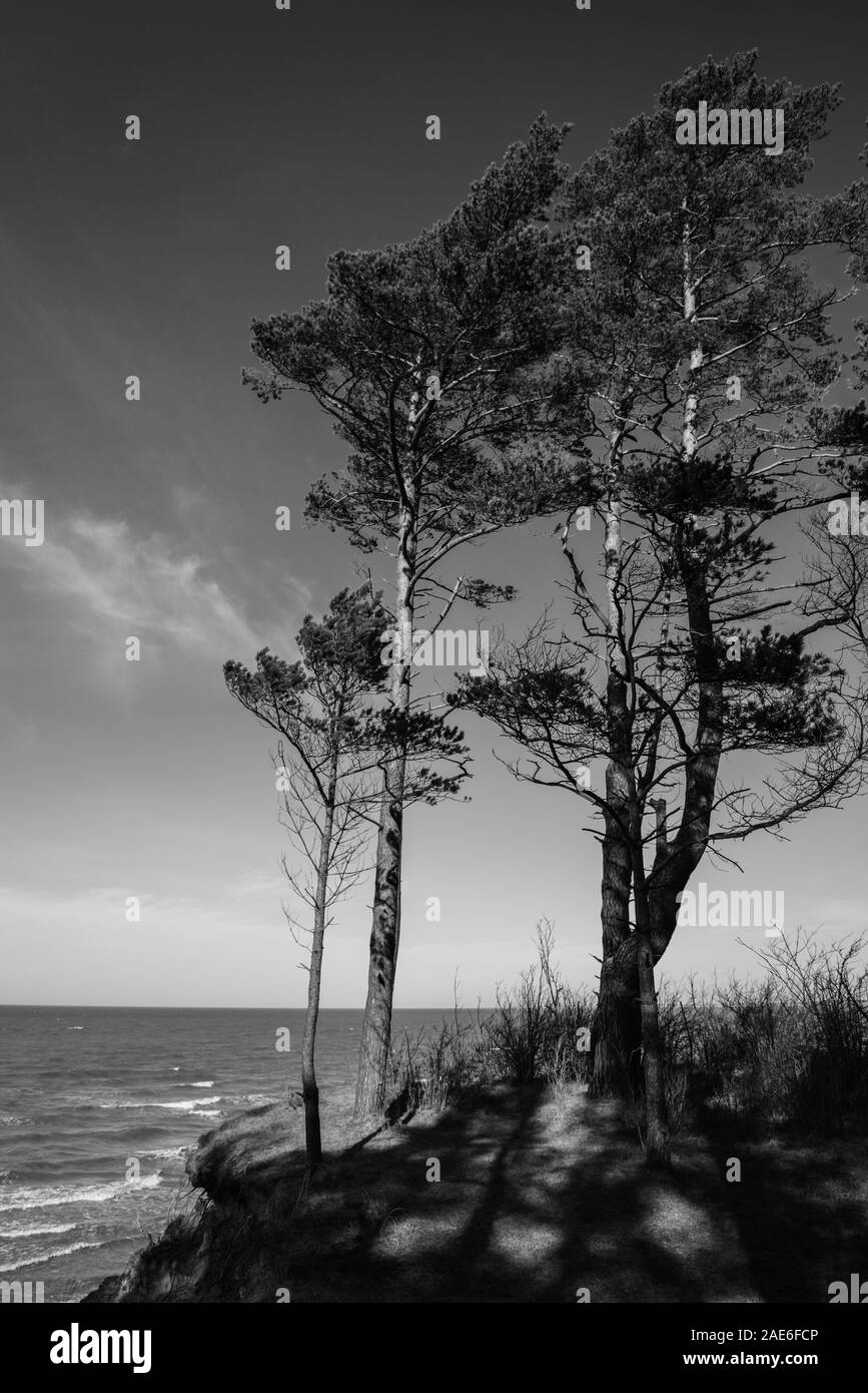 Vue sur la mer plage à Jurkalne, la Lettonie. Banque D'Images