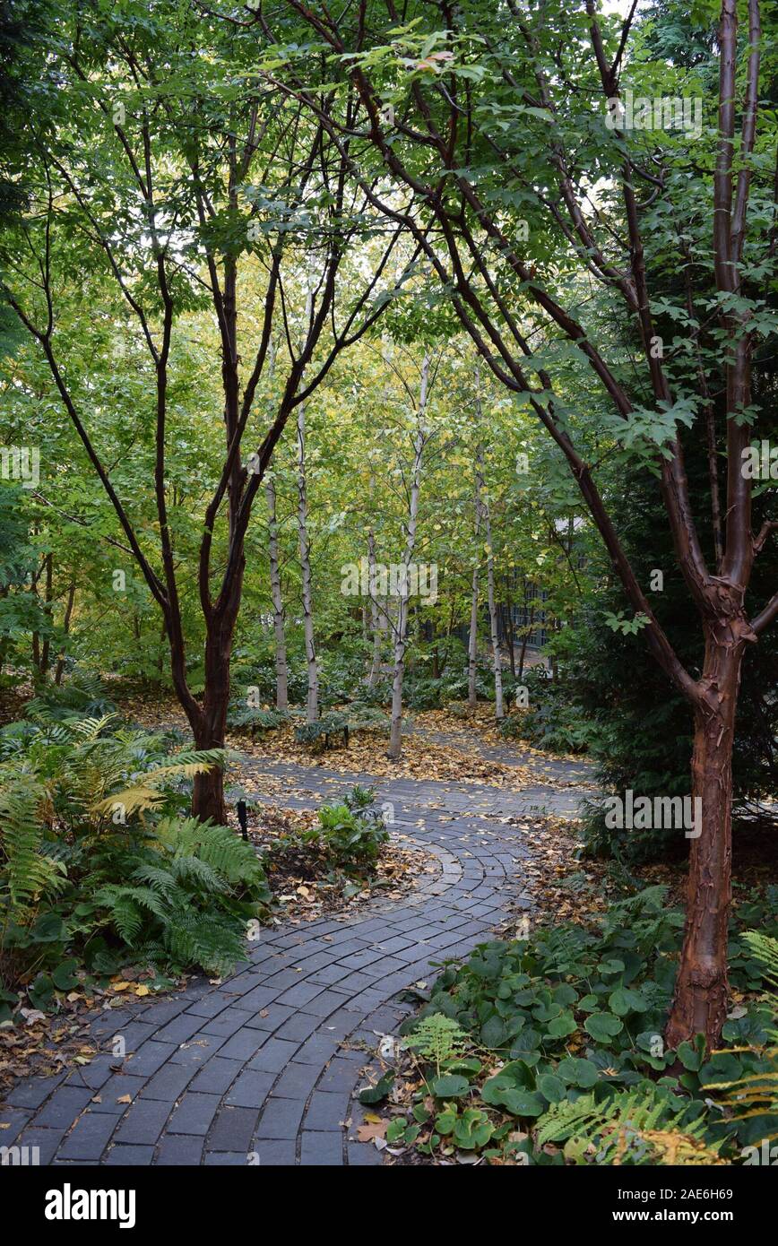 Sentier de pierre dans une cour au musée Isabella Stewart Gardner. Banque D'Images