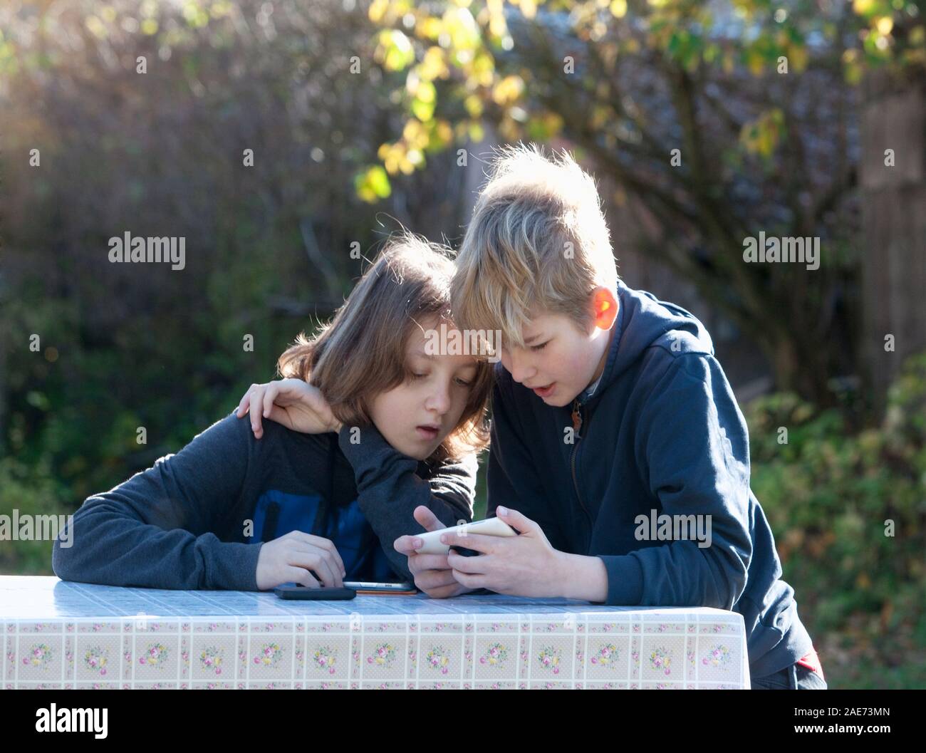 Deux garçons avec des téléphones portables dans le jardin. Banque D'Images