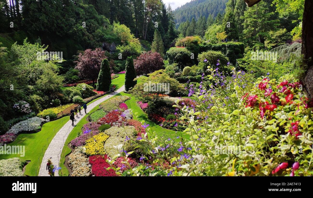 Les jardins Butchart, allée de l'île de Vancouver, Victoria, Canada Banque D'Images
