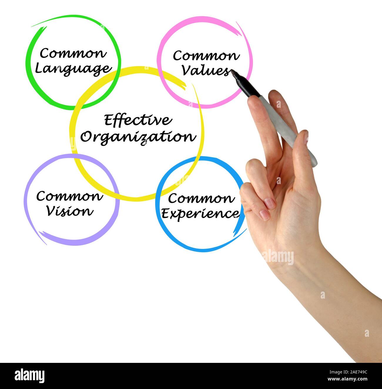 Des organisations efficaces Banque D'Images