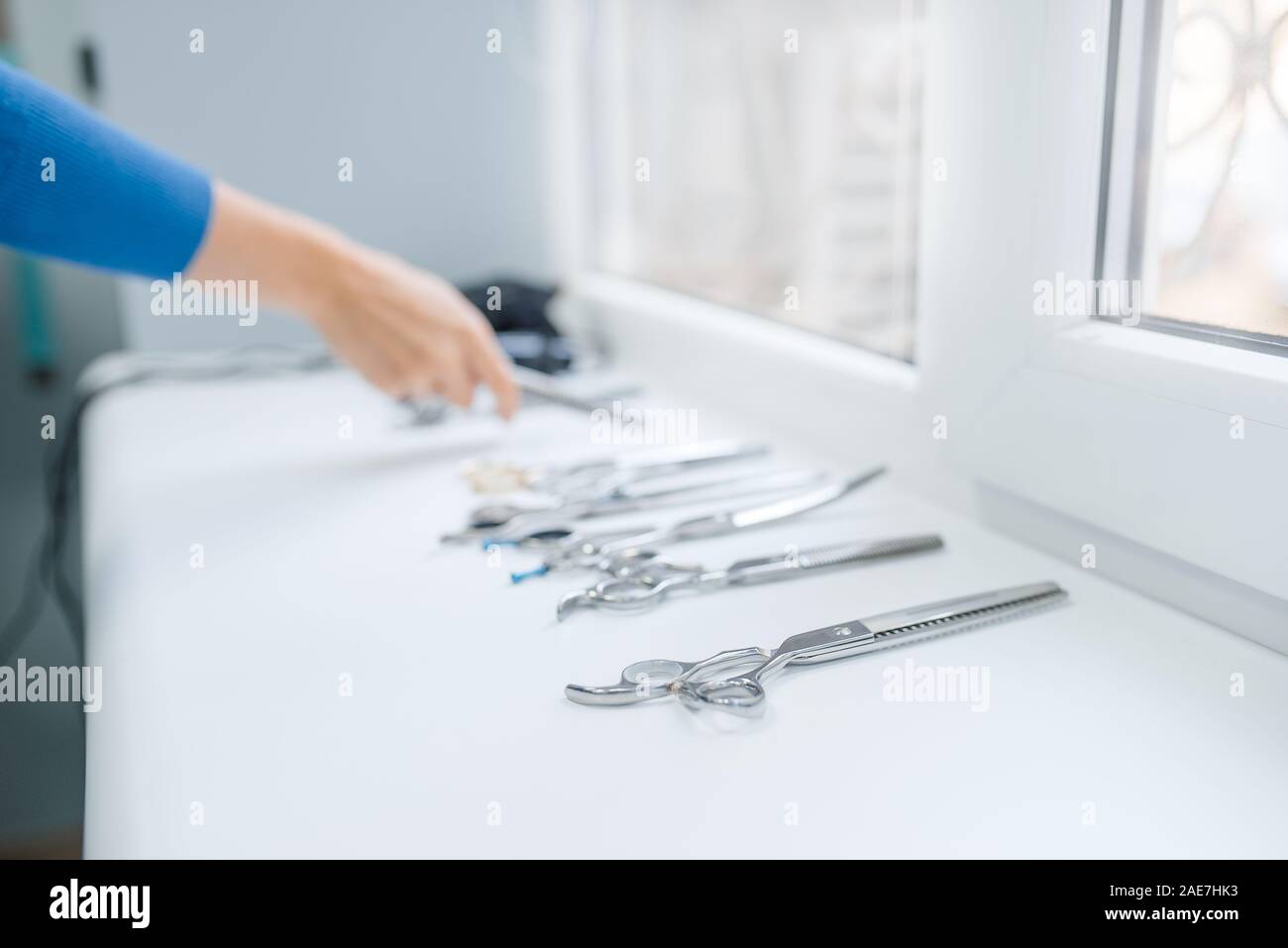Toiletteur toilettage professionnel féminin et outils Banque D'Images