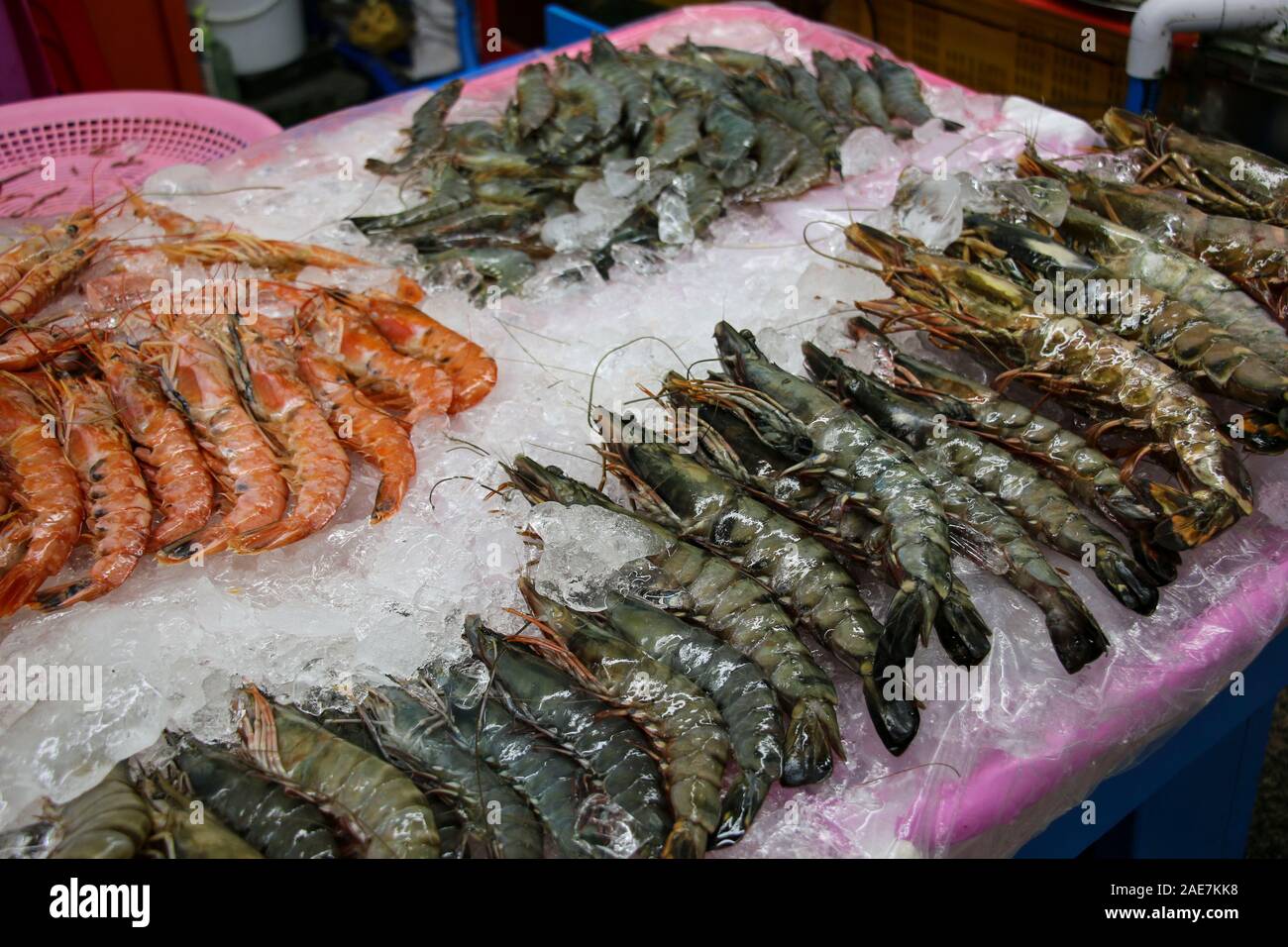 Crevettes fraîches et gambas black tiger au marché aux poissons de Jagalchi à Busan, Corée du Sud Banque D'Images