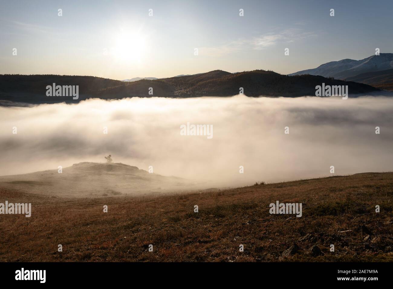 Paysage d'automne étonnant blanc moelleux avec un épais brouillard sur le lac, les montagnes, les arbres, l'herbe dans le givre et le soleil contre un ciel bleu au lever du soleil. Al Banque D'Images