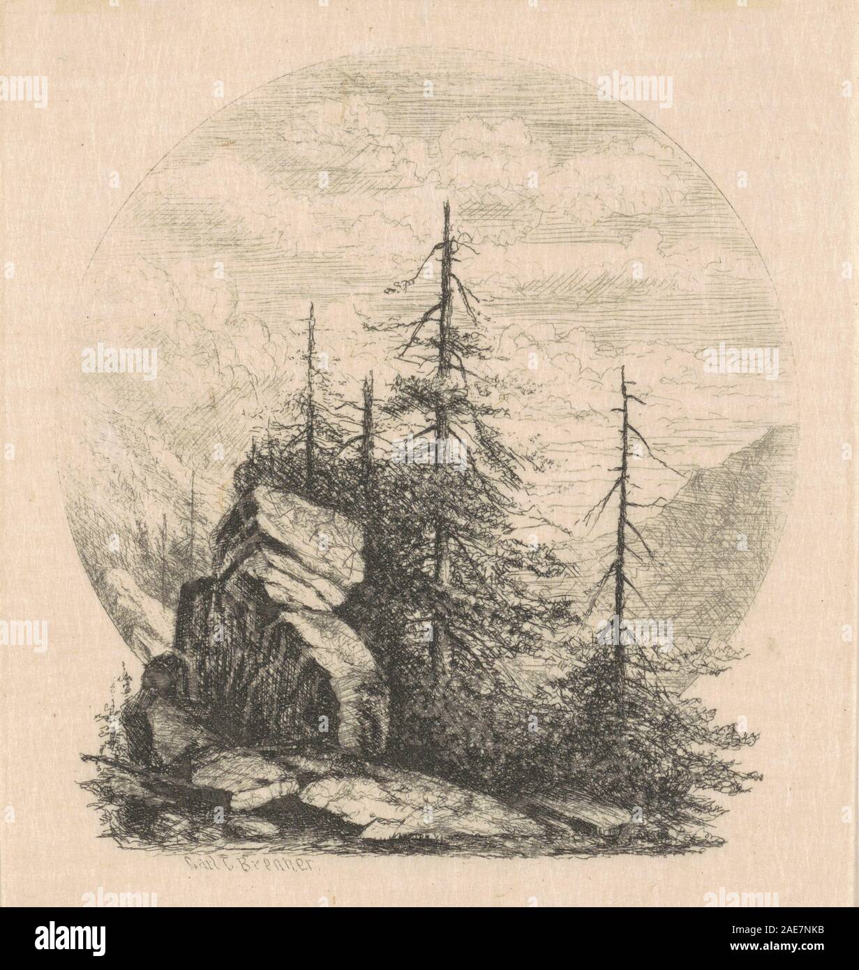 Cette peinture de Carl C. Brenner, créée dans les années 1870-1880, représente des pins dans un paysage naturel, montrant le feuillage, les troncs, les branches et les conditions atmosphériques. Banque D'Images