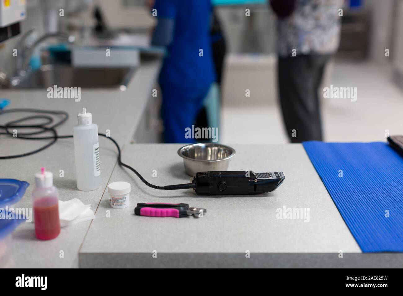 La zone de traitement et d'évaluation à l'intérieur d'une clinique vétérinaire. Banque D'Images