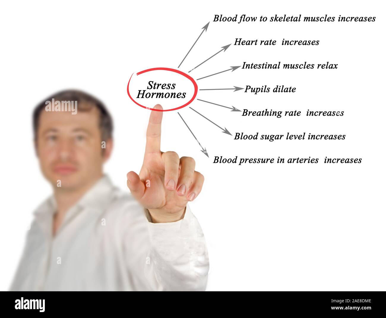 Influence des hormones de stress Banque D'Images