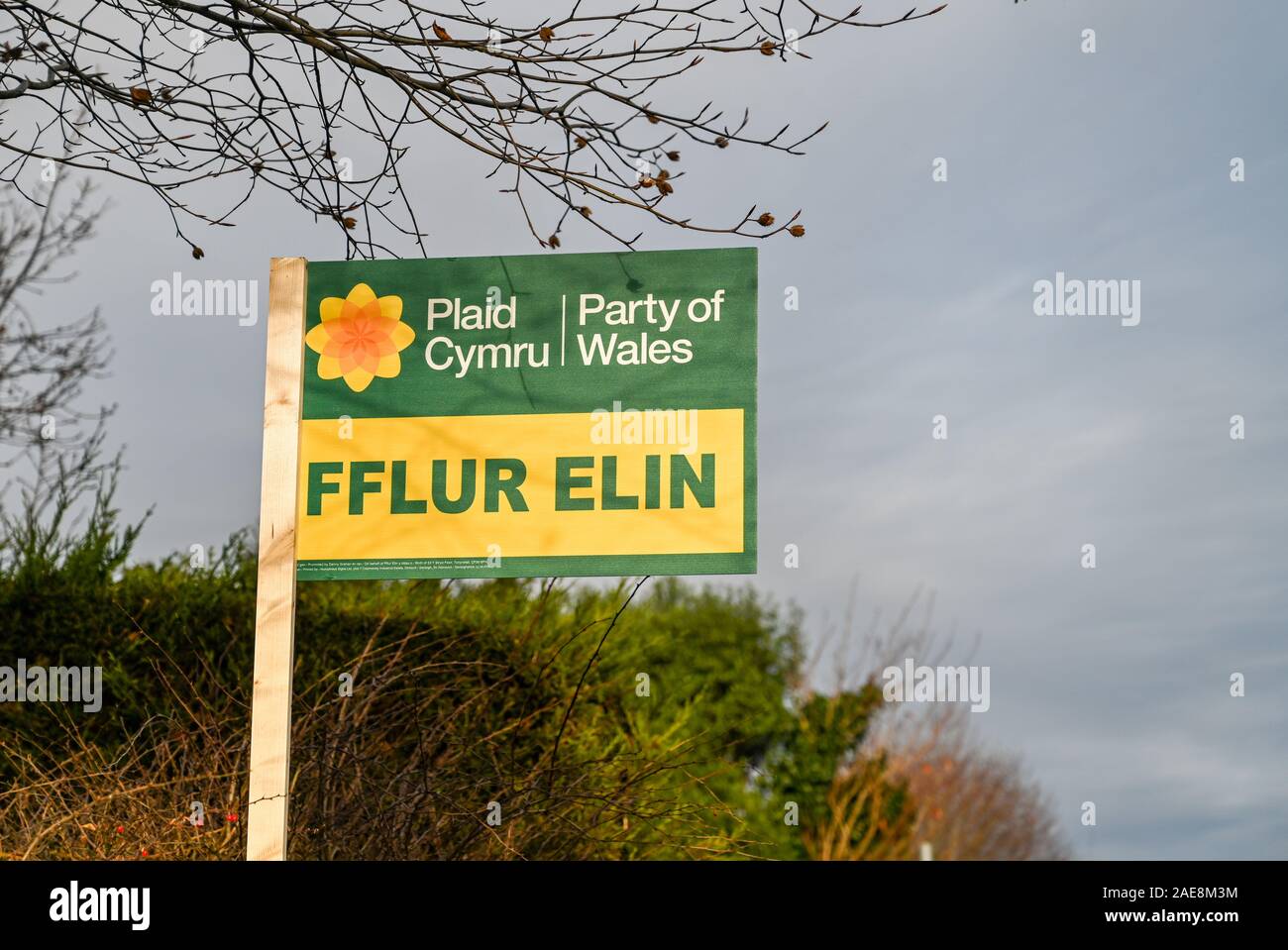 PONTYPRIDD, Pays de Galles - Décembre 2019 : Inscrivez-vous dans le jardin d'une maison soutenant le Plaid Cymru candidat pour le domaine de l'élection générale BRITANNIQUE Banque D'Images