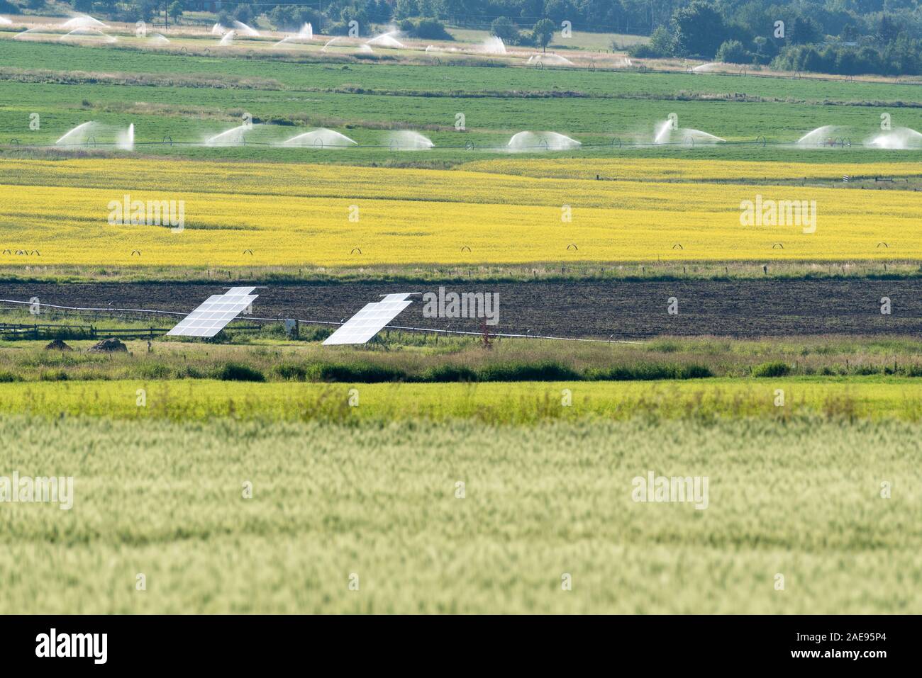 Des panneaux solaires sur une ferme dans l'Oregon est Wallowa Valley. Banque D'Images