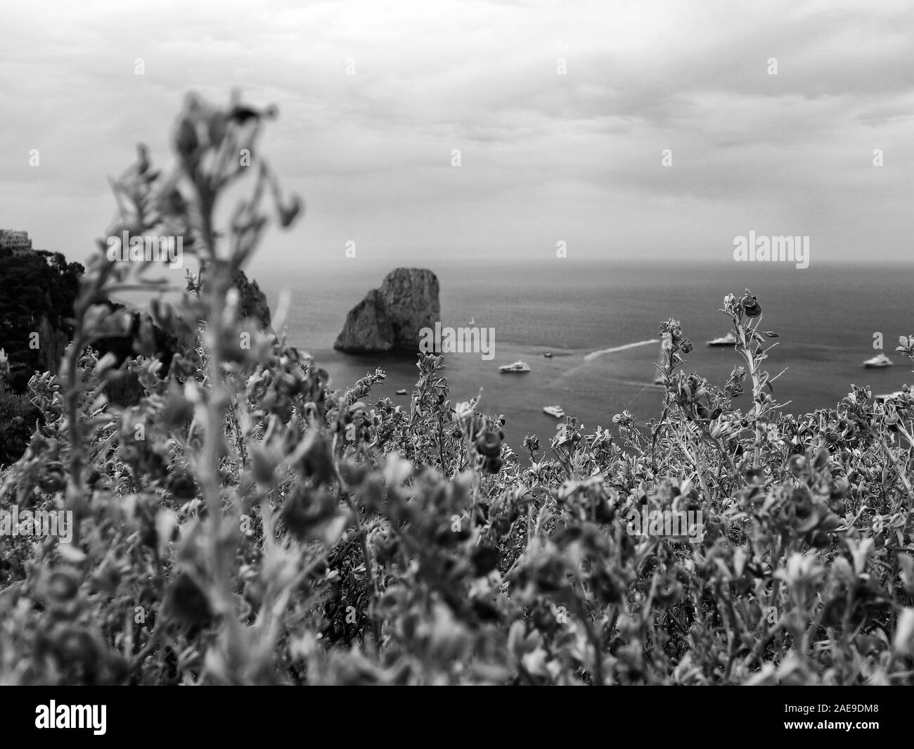 L'île de Capri, Italie Banque D'Images