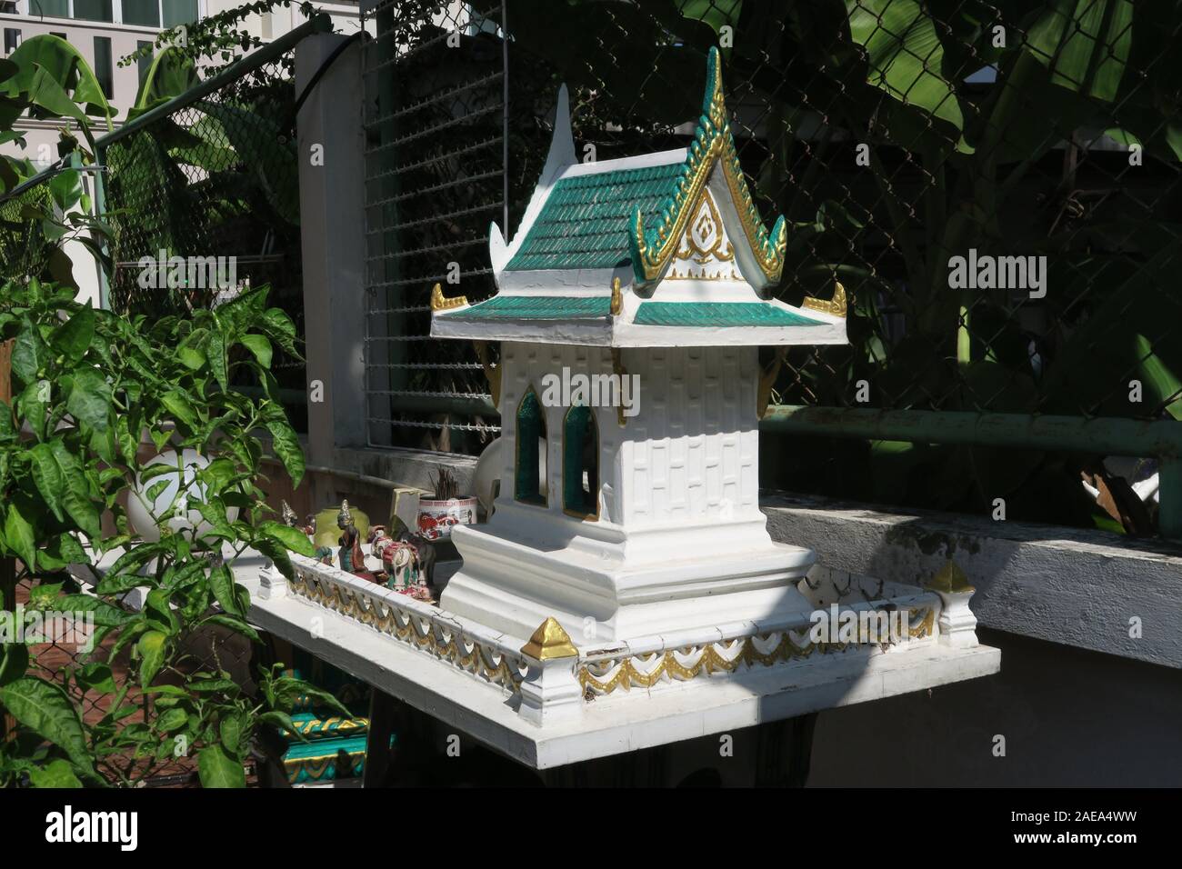 Spirit of House, Bangkok, Thaïlande, mais très rare coloration verte et blanche, peut-être parce que c'est dans les jardins d'une maison musulmane. Banque D'Images