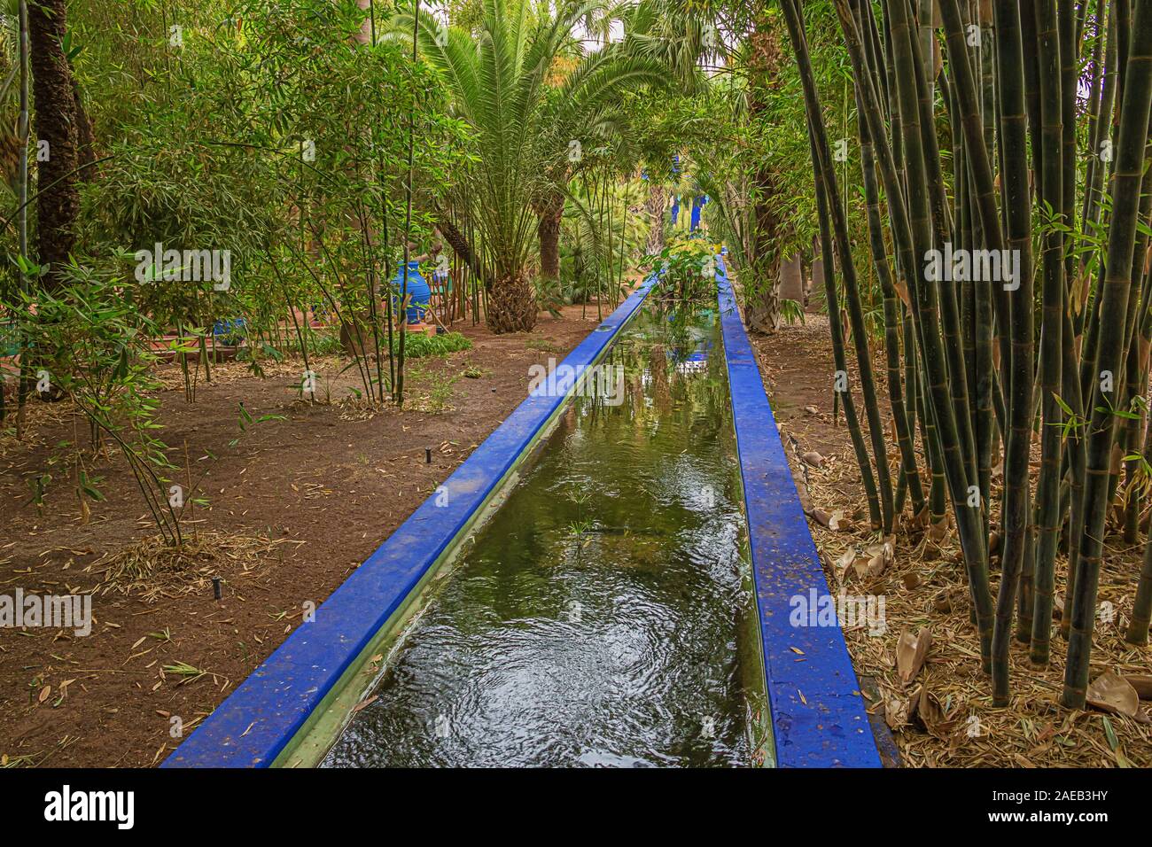 Editorial : Marrakech, Maroc, 11 octobre 2019 - canal bleu artificiel dans le Jardin Majorelle dans le centre de Marrakech Banque D'Images