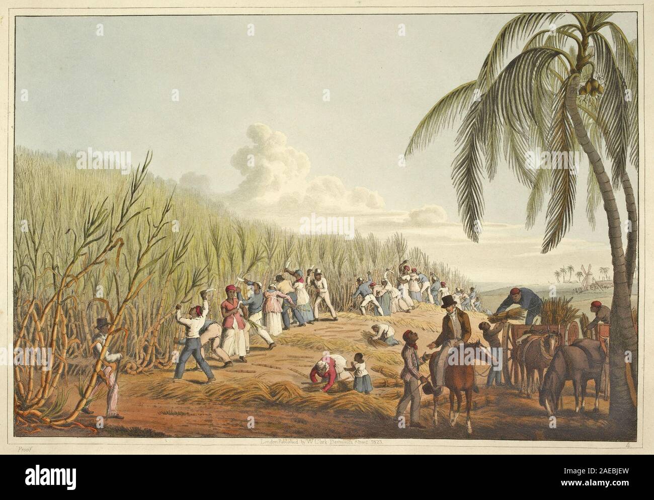Esclaves coupant la canne à sucre de dix vues dans l'île d'Antigua par William Clark, 1823 Banque D'Images