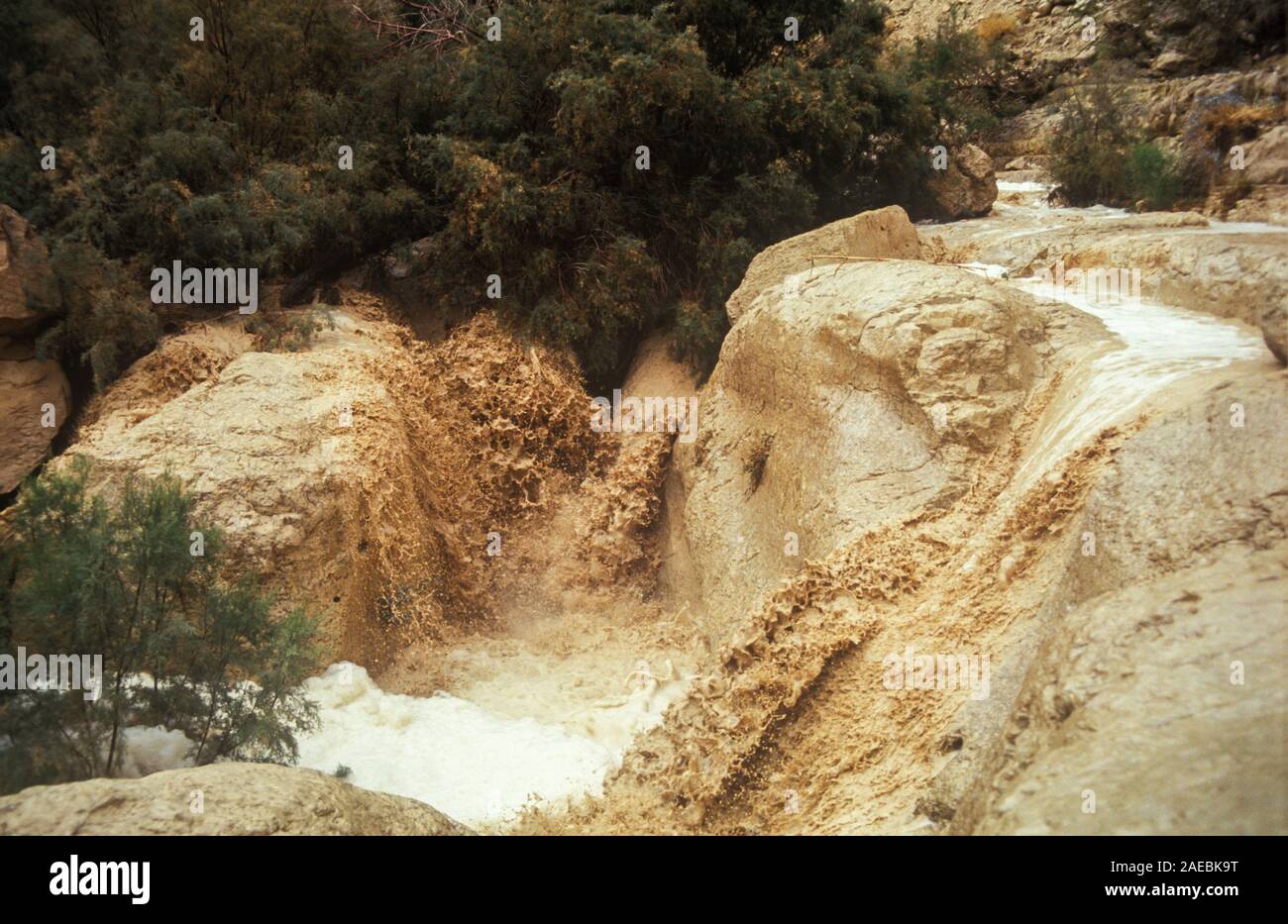 Crue de l'hiver dans le désert de Judée, en Israël Banque D'Images