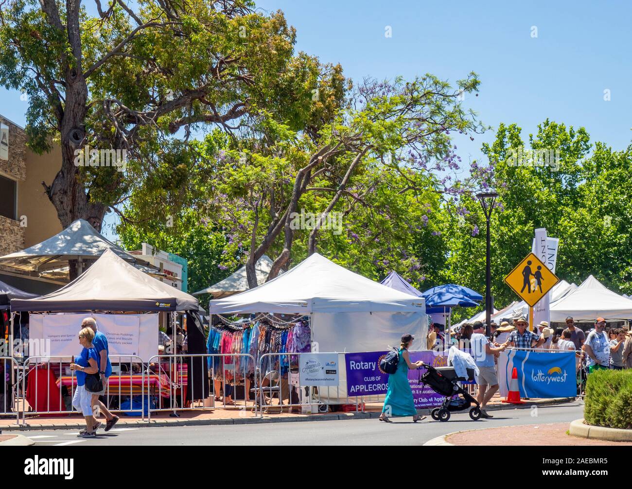 Jacaranda tree en pleine floraison pendant le Festival de Jacaranda rotatif 2019 Ardross St Saint-village à Perth en Australie occidentale. Banque D'Images