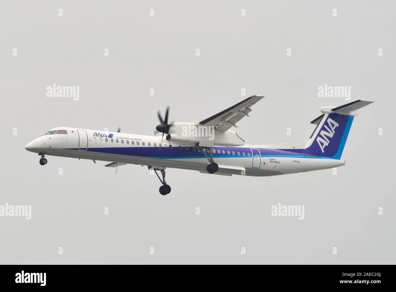 Osaka, Japon - Jun 26, 2019. JA844A ANA Ailes Bombardier De Havilland Canada Dash 8 à l'atterrissage à l'aéroport de Osaka Itami (ITM). Banque D'Images