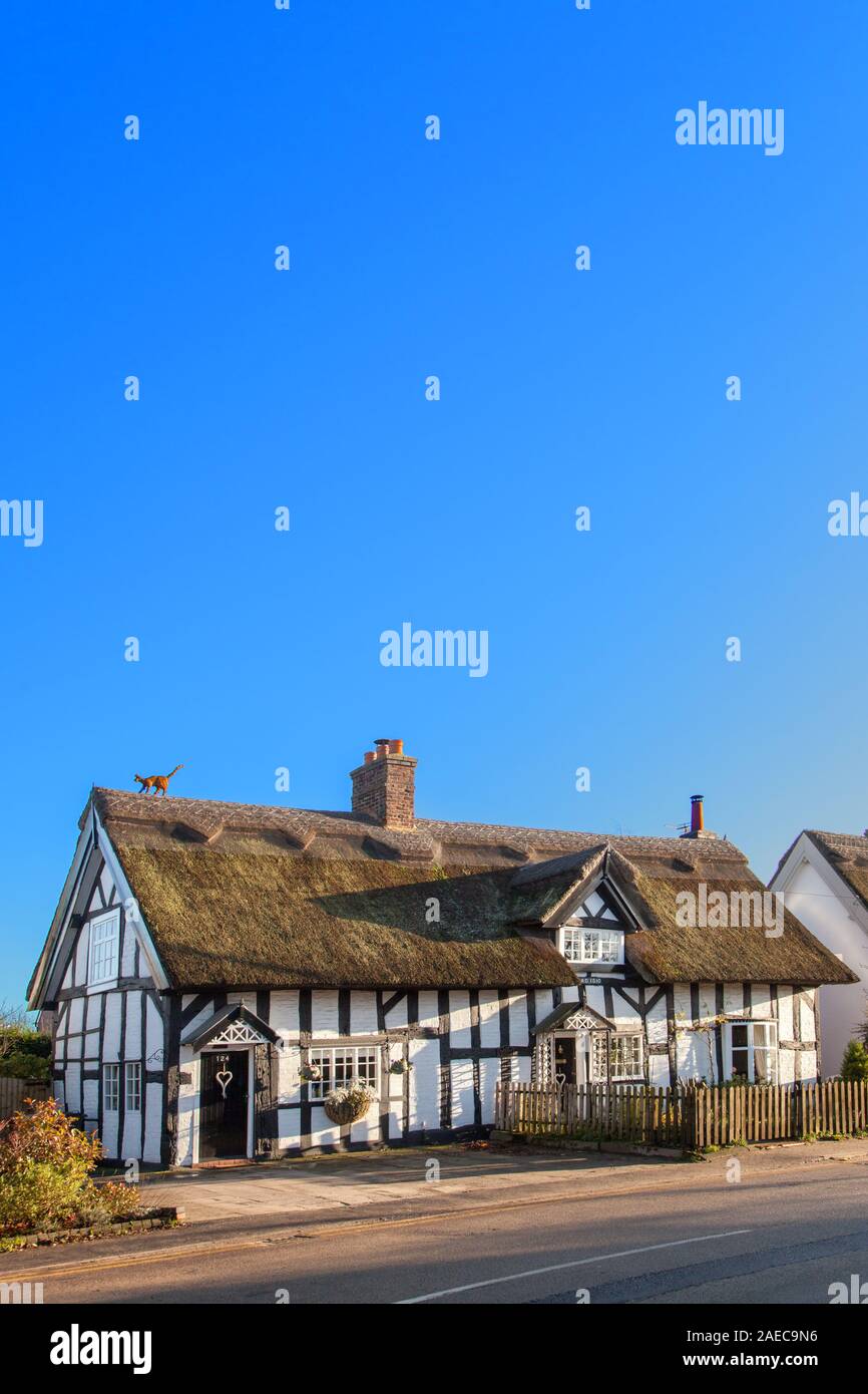 Noir et blanc traditionnel à colombages du 16e siècle anglais country cottage au toit de chaume dans le village de Cheshire UK Haslington Banque D'Images
