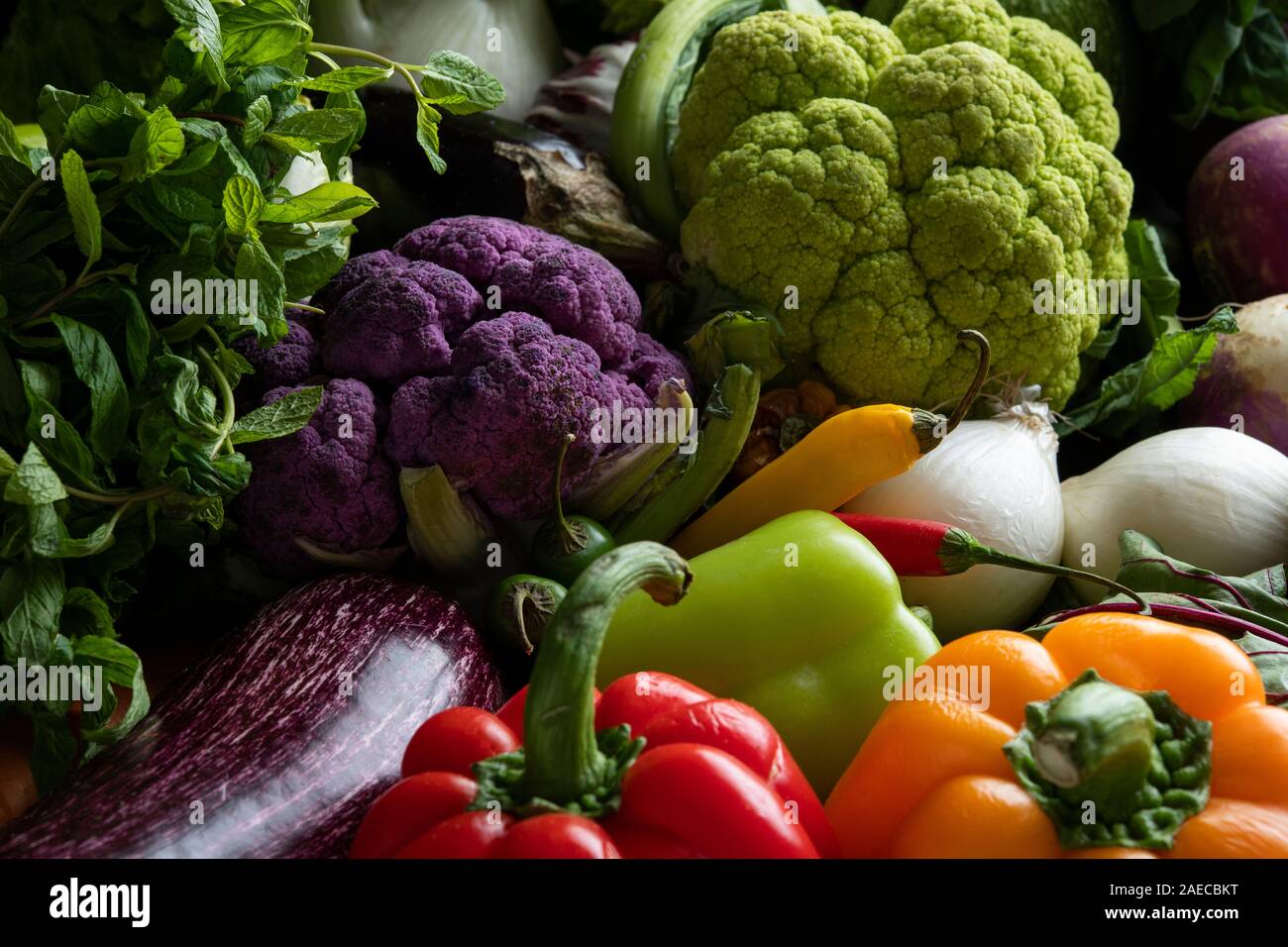 Grand plat allant au four avec des légumes colorés mixtes, concombres, tomates, brocoli, aubergines, courges, pommes de terre, la laitue, les poivrons Banque D'Images