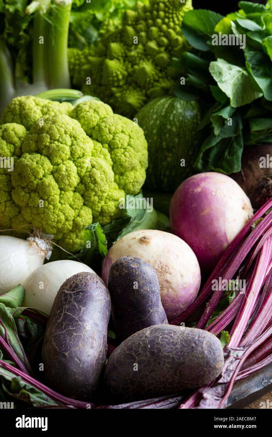 Grand plat allant au four avec des légumes colorés mixtes, concombres, tomates, brocoli, aubergines, courges, pommes de terre, la laitue, les poivrons Banque D'Images
