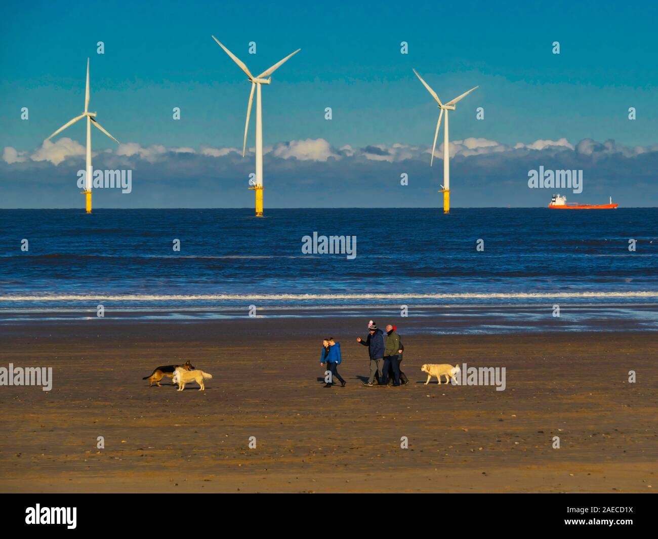 Un groupe familial exerçant les chiens sur la plage sous le soleil d'hivers journée à Coatham, Cleveland UK, avec certains des éoliennes derrière Redcar Banque D'Images