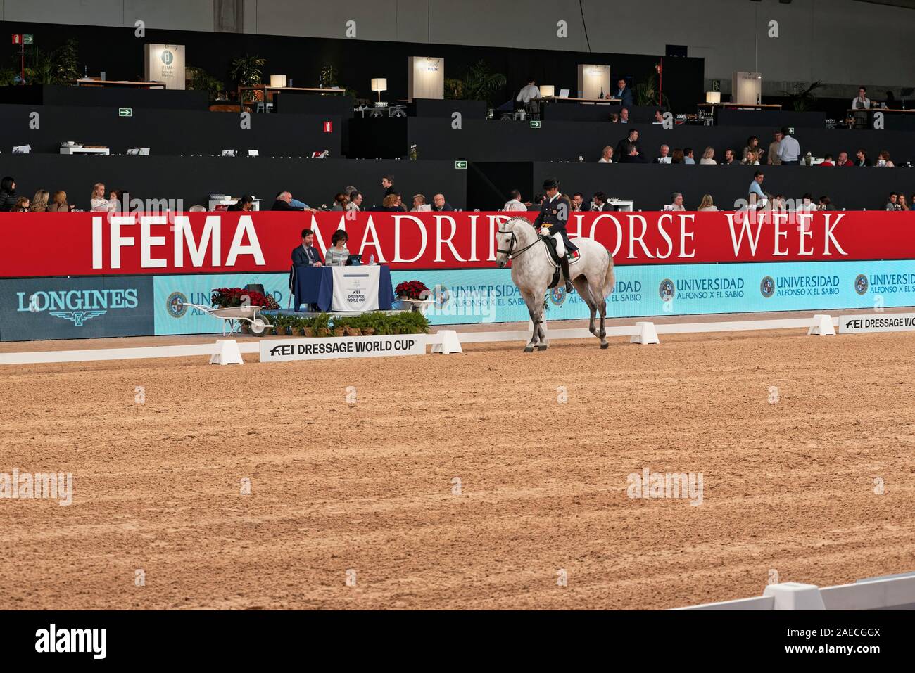 L'IFEMA, Madrid, Espagne. 29 novembre, 2019. Grand Prix de dressage, cheval de Madrid 2019 Semaine : Trofeo Universidad Alfonso X el Sabio.Rodrigo Torres Banque D'Images