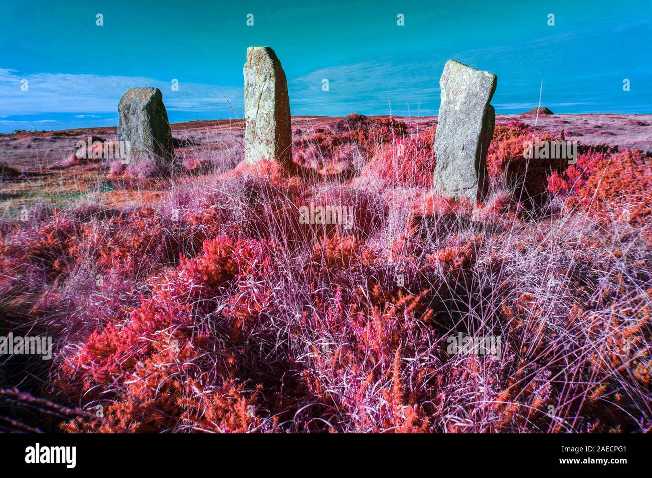 Trois des pierres sur les neuf jeunes filles ou Boskednan Stone Circle, Cornwall UK Banque D'Images