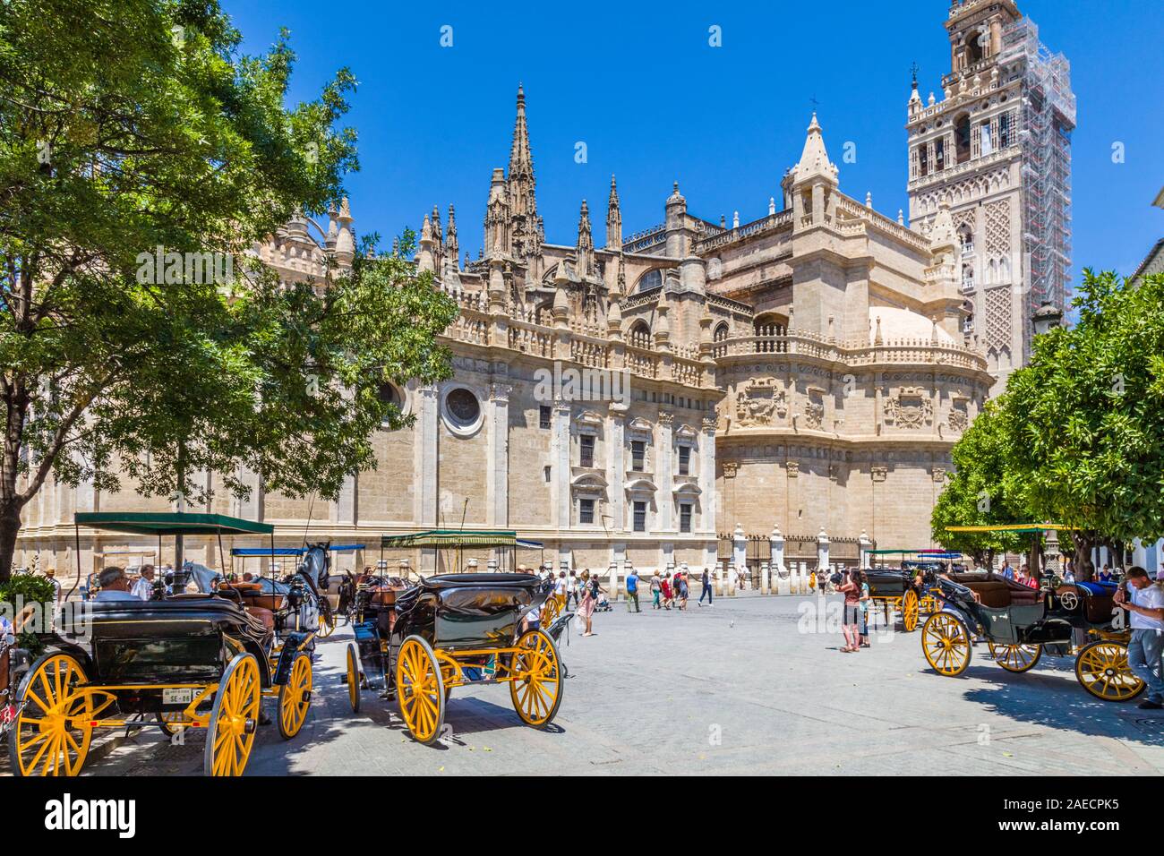 La Cathédrale de Séville Espagne chrétienne est la plus grande cathédrale gothique au monde Banque D'Images