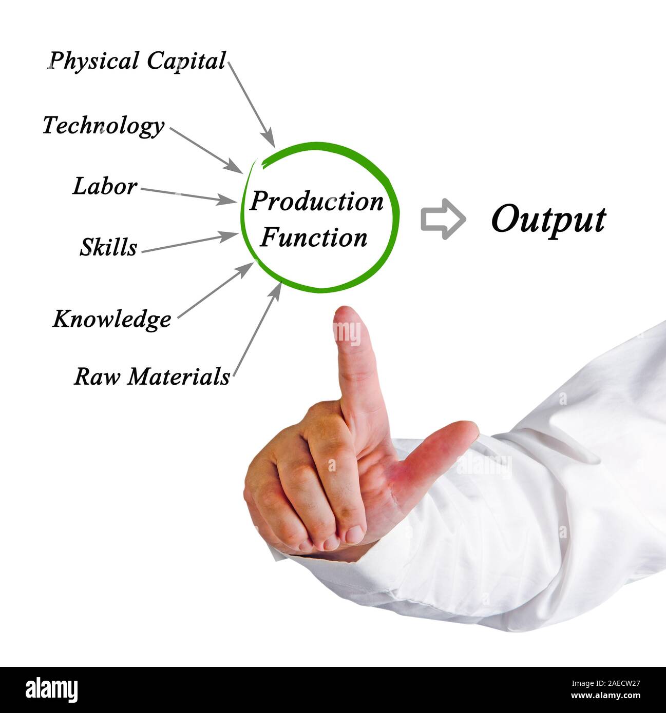 Fonction de production banque de photographies et d images haute
