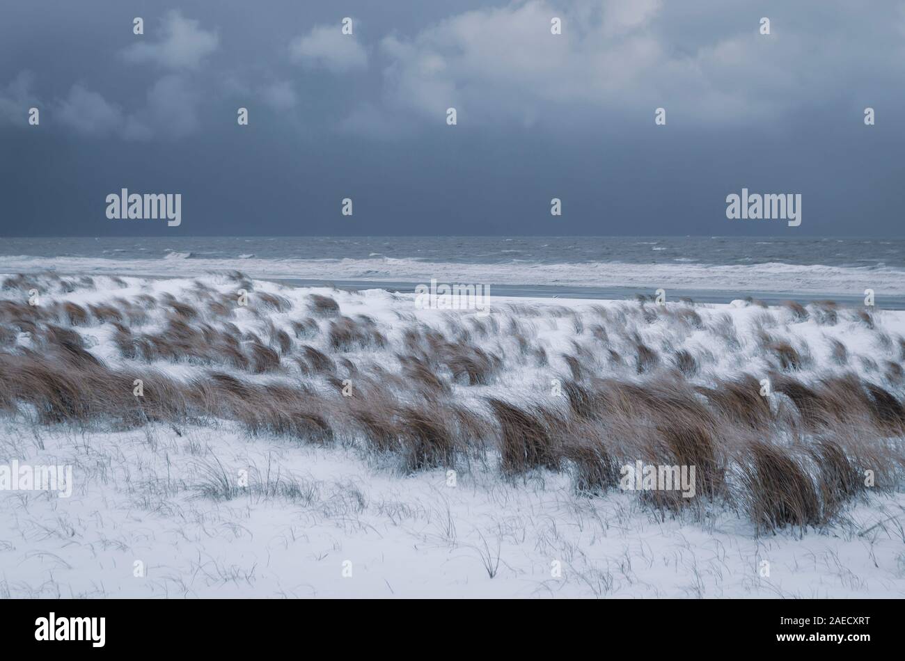 La côte du Lincolnshire avec de la neige au cours de l'est bête Banque D'Images