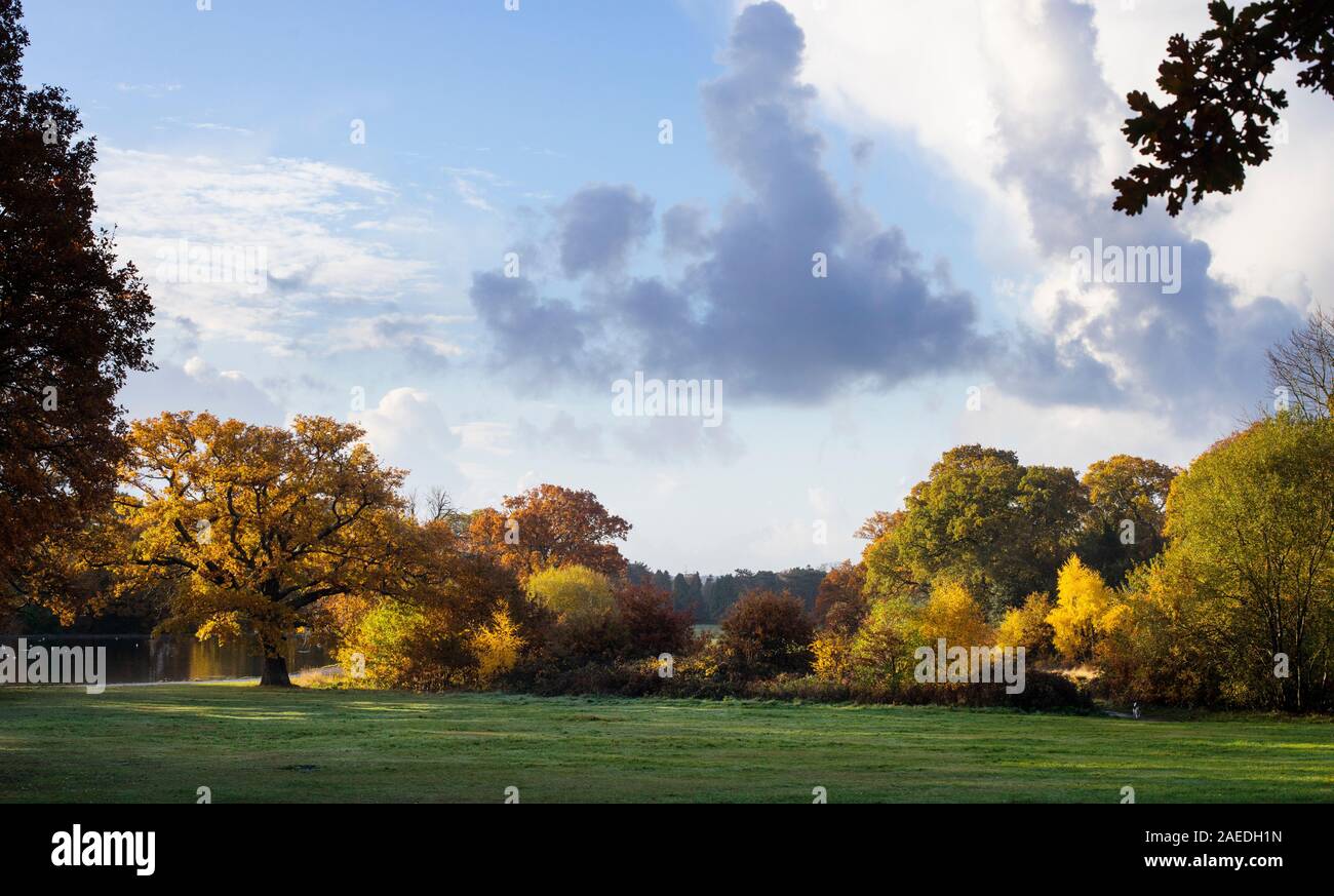 Commune de Southampton en automne Banque D'Images