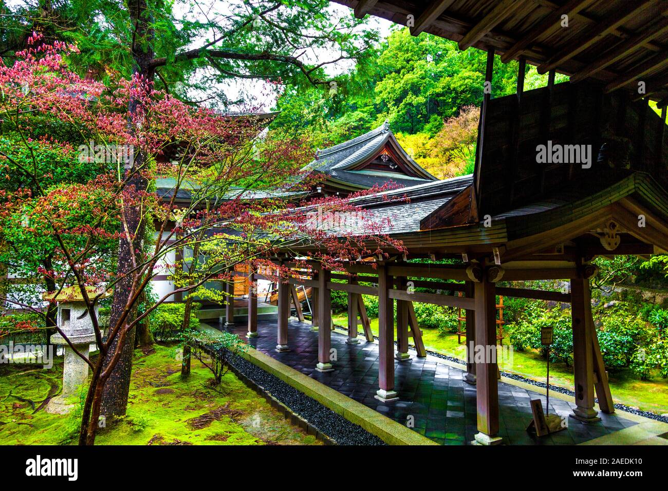 Lanterne et moss entourant jardin zen japonais au Temple Ryoanji, Kyoto, Japon Banque D'Images