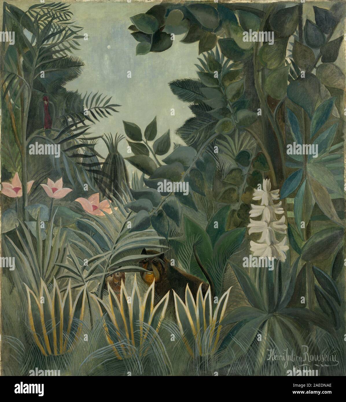 Henri Rousseau, la Jungle équatoriale, 1909 La Jungle équatoriale ; 1909date Banque D'Images