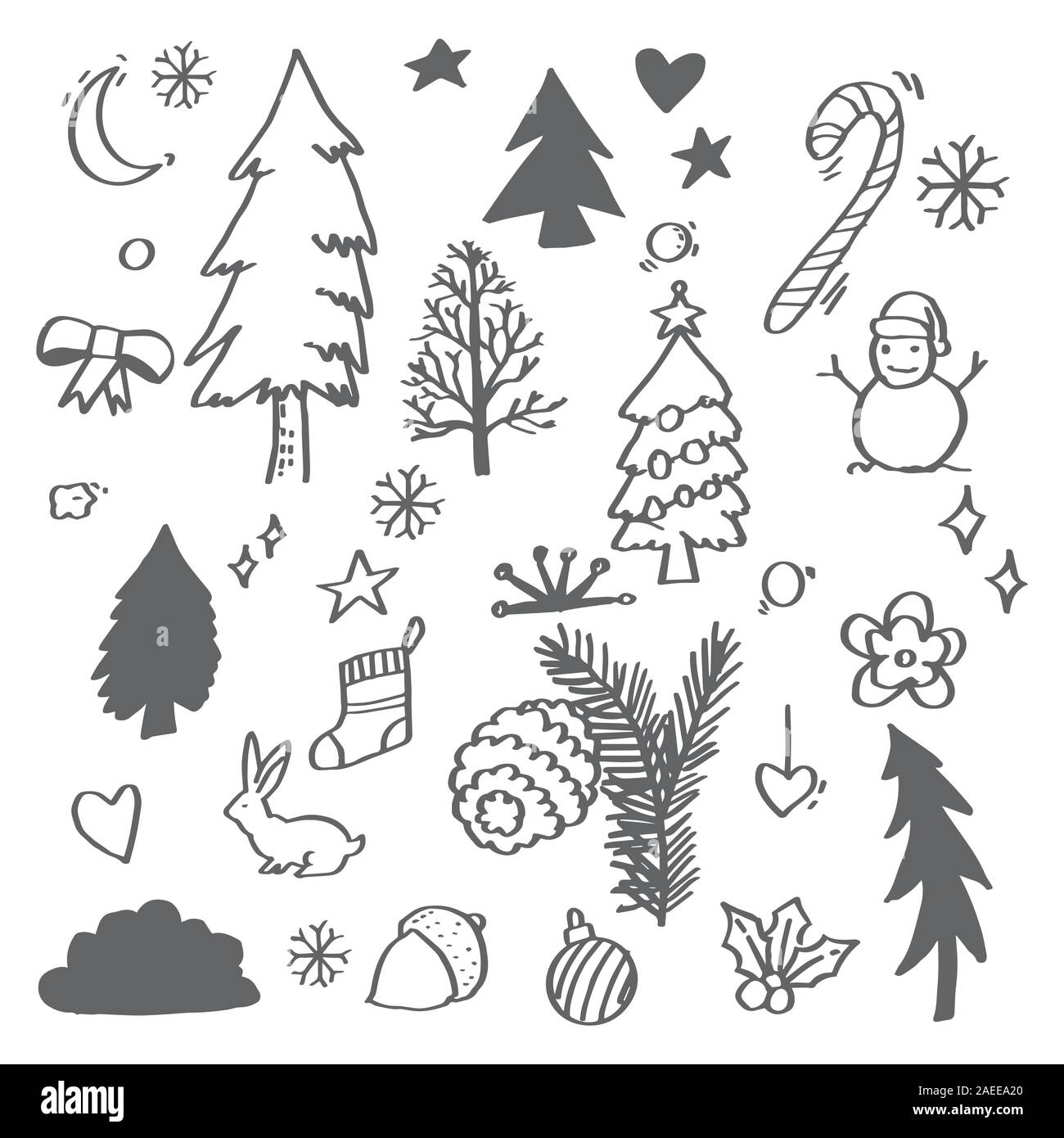 Dessiné à la main des éléments de conception florale pour Noël : pine tree branches, houx, gui et autres ornements floraux pour décoration du texte Illustration de Vecteur