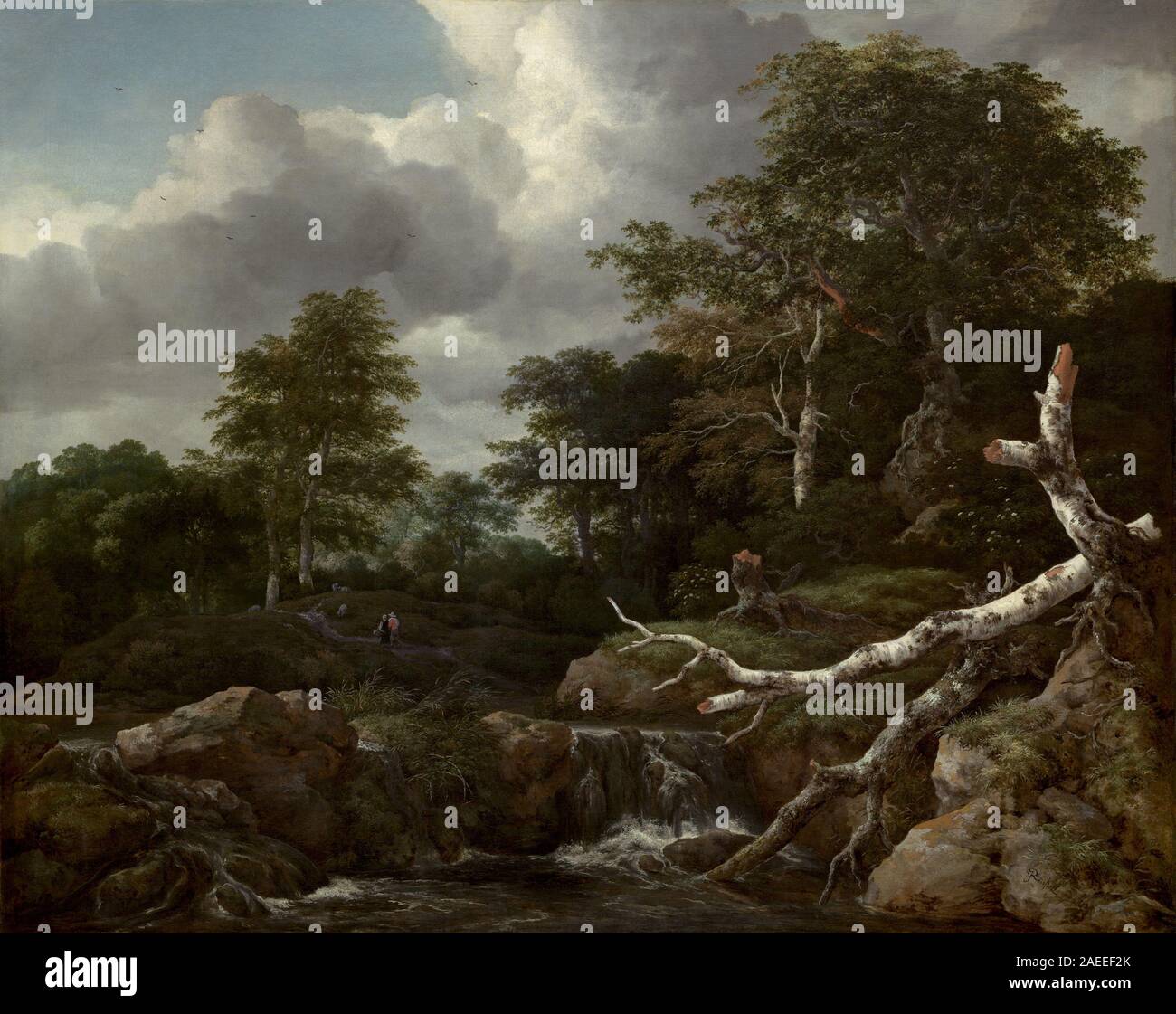 Une peinture de paysage de Jacob van Ruisdael d'environ 1655 montrant une scène forestière dense avec des arbres, des sous-bois, de la lumière et de l'ombre, des détails naturalistes, une perspective, et les techniques de peinture paysagère néerlandaise du milieu du XVIIe siècle. Banque D'Images