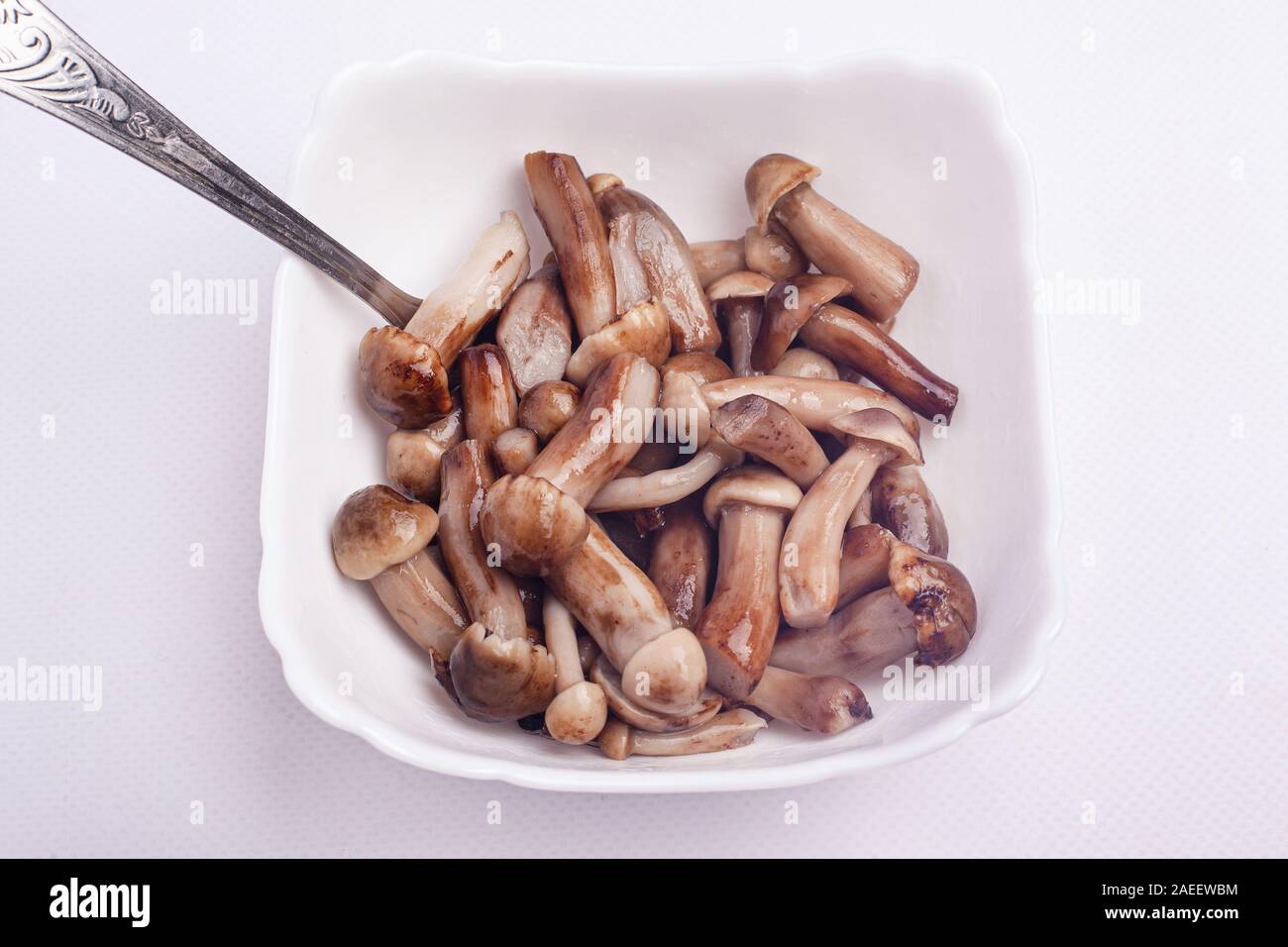 Le miel au vinaigre de miel champignons agarics. champignon dans une assiette blanche. Banque D'Images